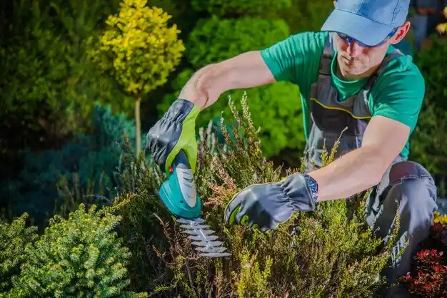 landscaping services Plandome